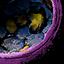 Egg #11