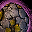 Egg #17