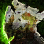 harathi-hinterlands