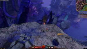 Skyscale egg #10
