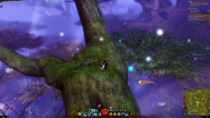 Skyscale egg #12