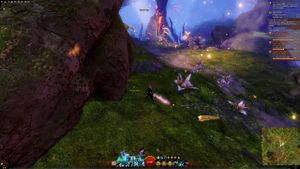 Skyscale egg #14