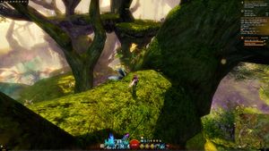 Skyscale egg #17