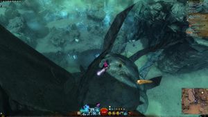 Skyscale egg #21