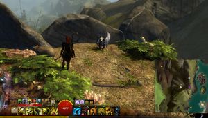 griffonrook run